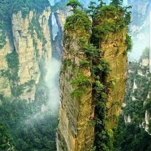 Meet your Posher, Flor